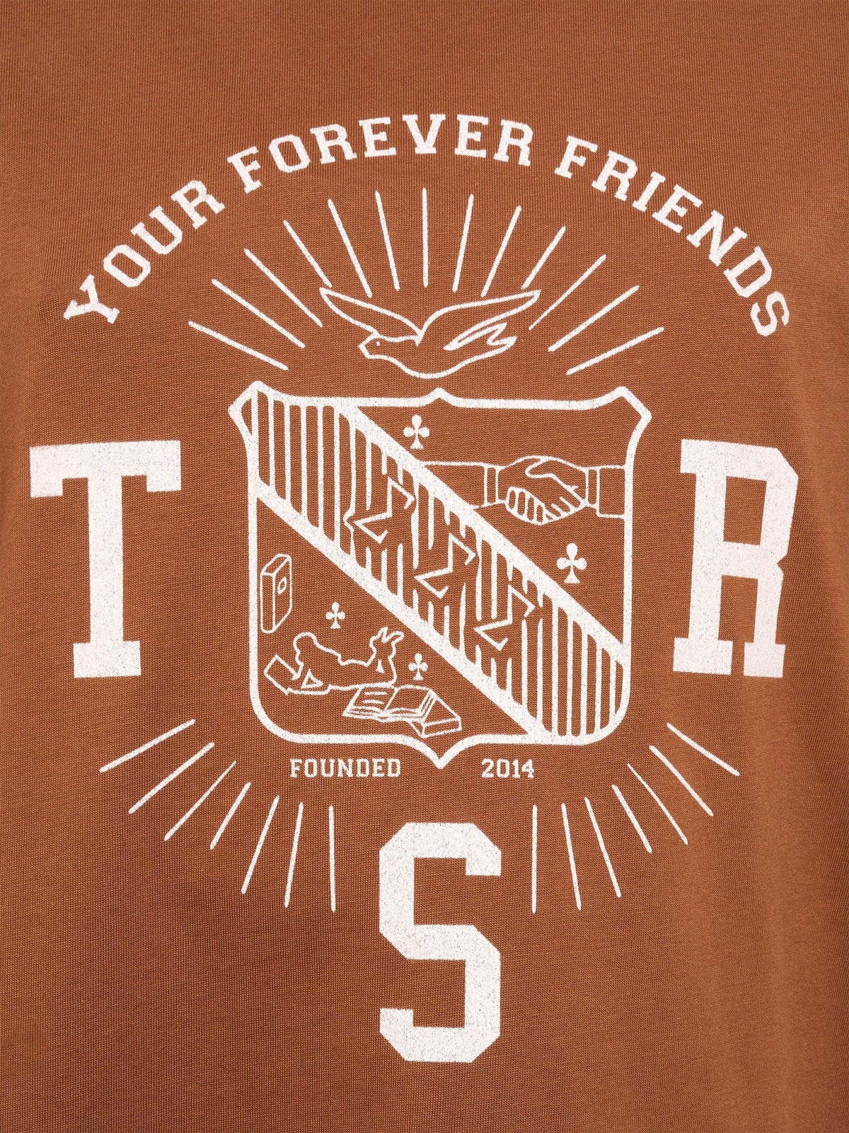 Oversized T Brown