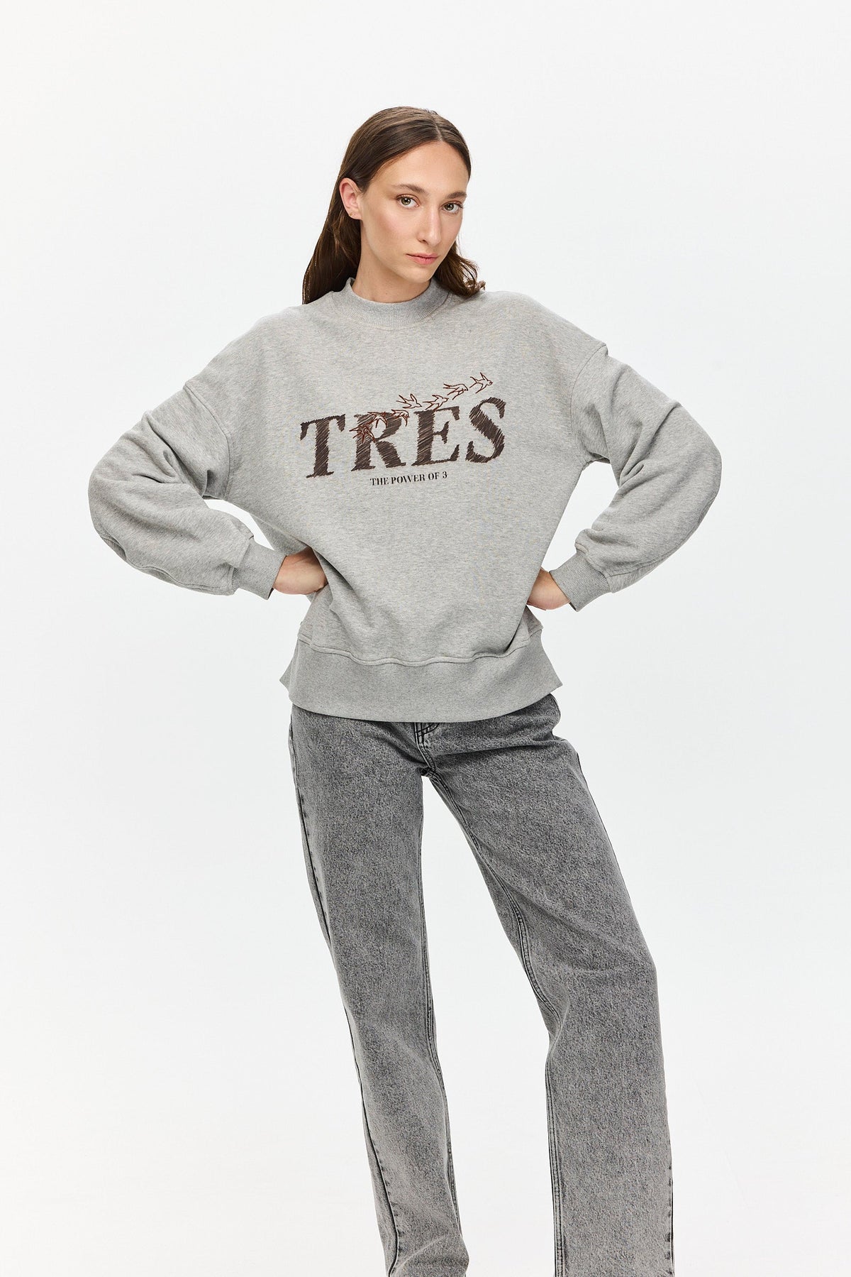 Birds Sweatshirt Grey Melange