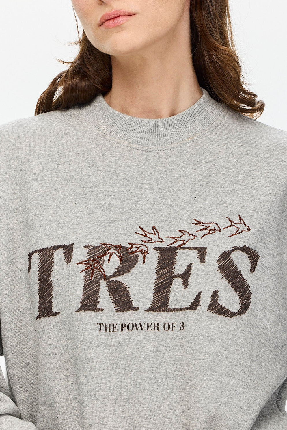 Birds Sweatshirt Grey Melange