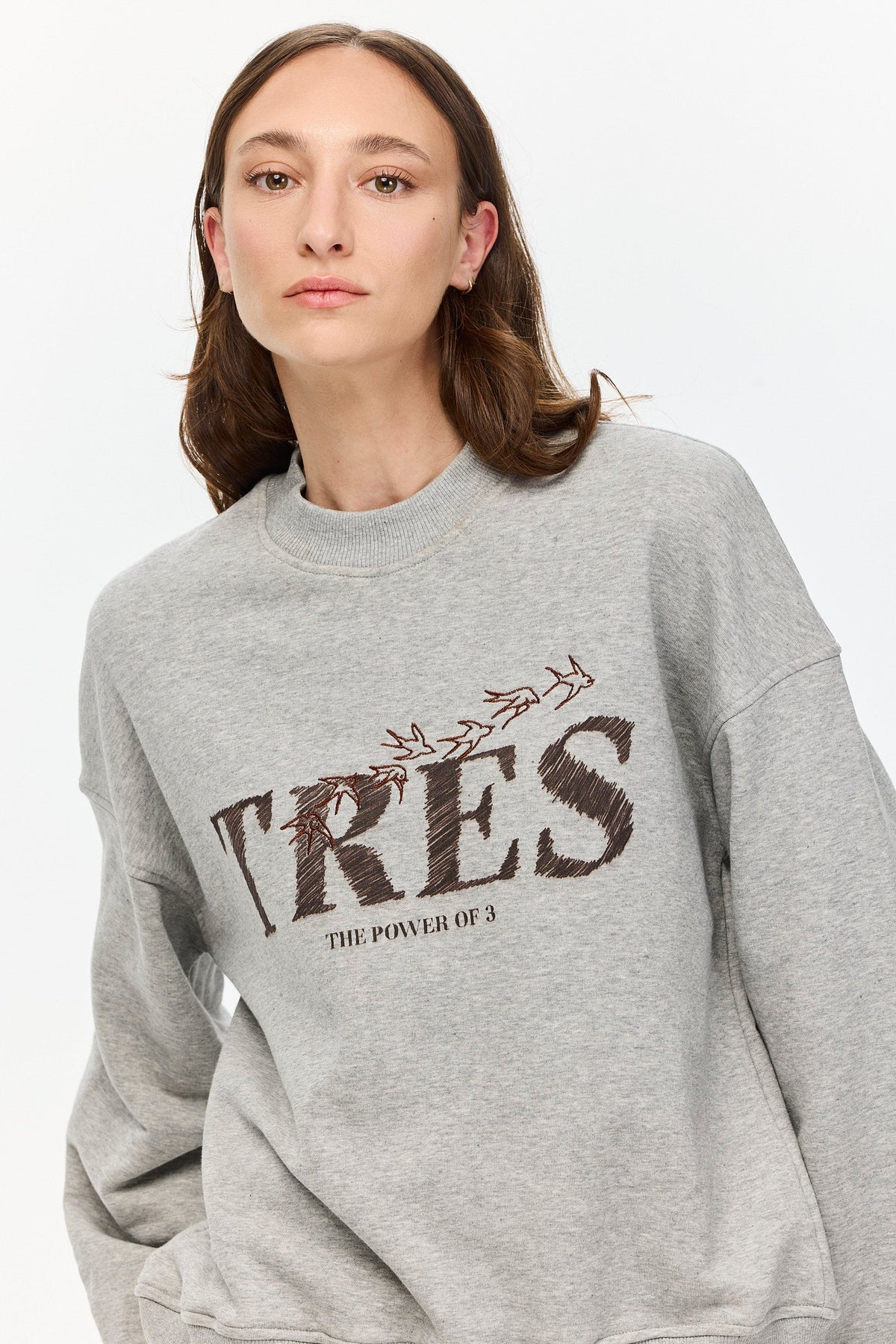 Birds Sweatshirt Grey Melange