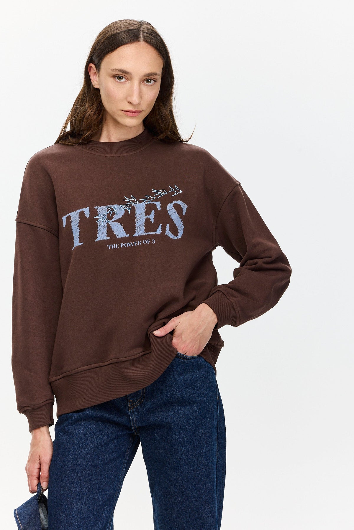 Birds Sweatshirt Brown